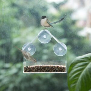 Acrylic Transparent Bird Feeder Suction Cup Mounted Birdhouse Food Feeding Tool comedero pajaro birds accessoires